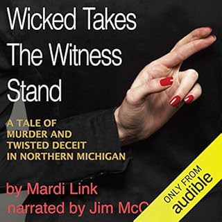 Wicked Takes the Witness Stand Audiobook By Mardi Link cover art