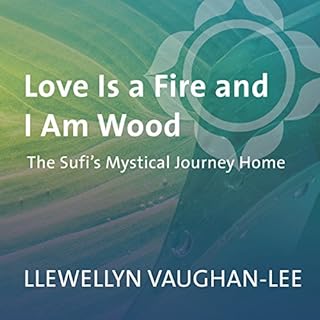 Page de couverture de Love Is a Fire and I Am Wood