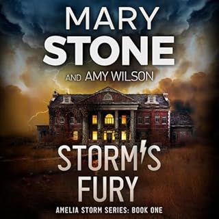 Storm's Fury Audiobook By Mary Stone, Amy Wilson cover art