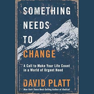 Something Needs to Change Audiobook By David Platt cover art