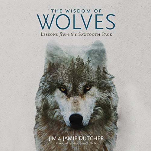 The Wisdom of Wolves Audiobook By Jim Dutcher, Jamie Dutcher, James Manfull - contributor, Marc Bekoff - foreword PhD cover a