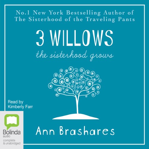 3 Willows Audiolibro Por Ann Brashares arte de portada