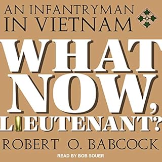 What Now, Lieutenant? Audiobook By Robert O. Babcock cover art