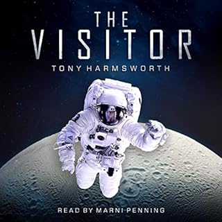 The Visitor cover art