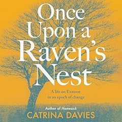 Once Upon a Raven's Nest cover art