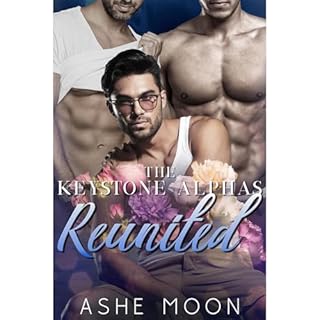 Reunited Audiobook By Ashe Moon cover art