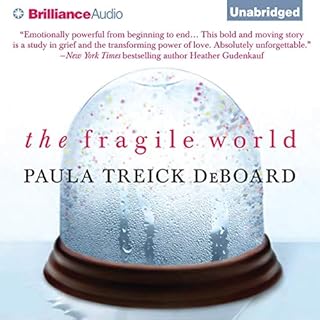 The Fragile World Audiobook By Paula Treick DeBoard cover art