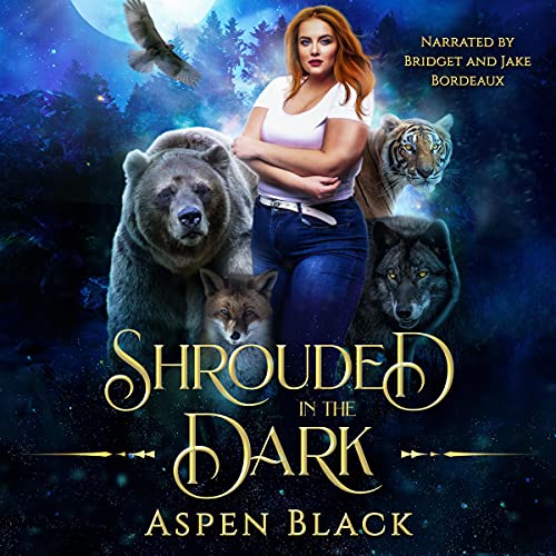 Shrouded in the Dark cover art