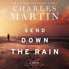 Send Down the Rain cover art