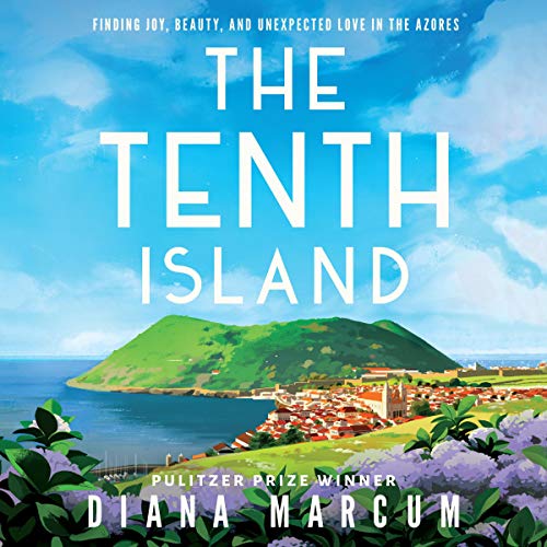 The Tenth Island Audiobook By Diana Marcum cover art