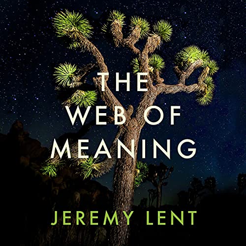 The Web of Meaning Audiolibro Por Jeremy Lent arte de portada