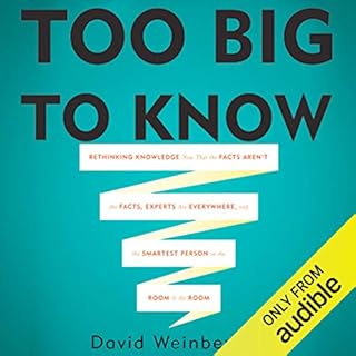 Too Big To Know Audiolibro Por David Weinberger arte de portada