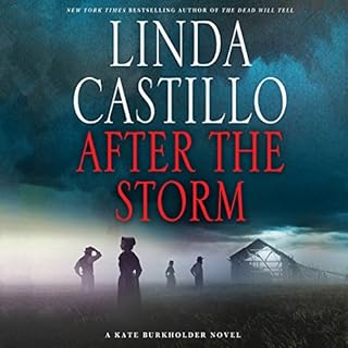 After the Storm Audiobook By Linda Castillo cover art