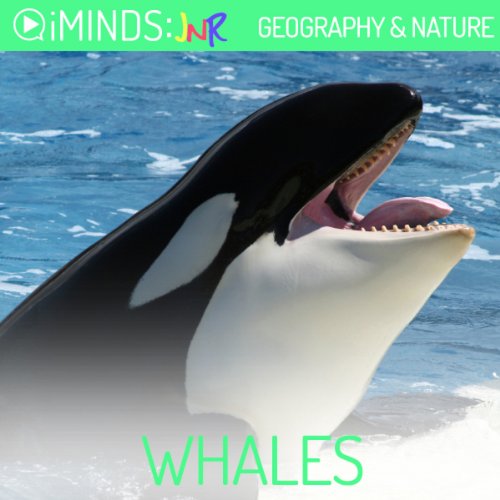 Whales Audiolibro Por iMinds arte de portada