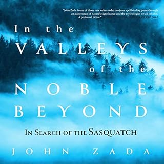 In the Valleys of the Noble Beyond Audiobook By John Zada cover art