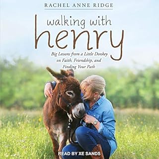 Walking with Henry Audiobook By Rachel Anne Ridge cover art