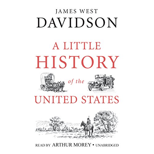 A Little History of the United States Audiobook By James West Davidson cover art