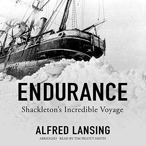 Endurance cover art