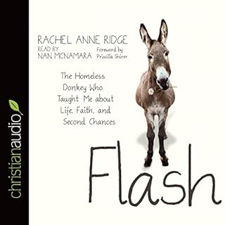 Flash Audiobook By Rachel Anne Ridge cover art