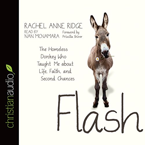 Flash Audiobook By Rachel Anne Ridge cover art