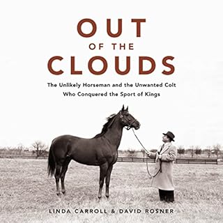 Out of the Clouds Audiobook By Linda Carroll, David Rosner cover art