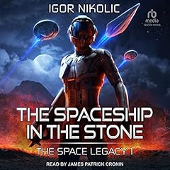 The Spaceship in the Stone cover art