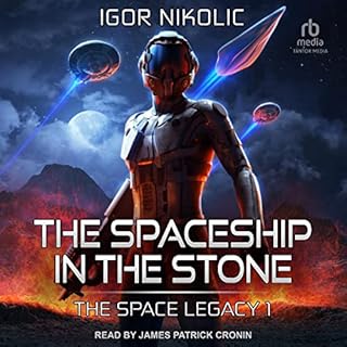 The Spaceship in the Stone Audiobook By Igor Nikolic cover art