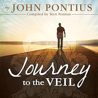 Journey to the Veil Audiobook By John Pontius cover art