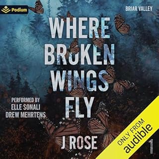 Where Broken Wings Fly Audiobook By J Rose cover art