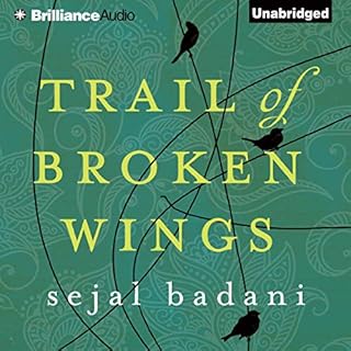 Trail of Broken Wings Audiolibro Por Sejal Badani arte de portada