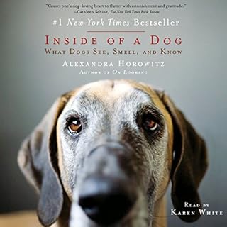 Inside of a Dog Audiobook By Alexandra Horowitz cover art