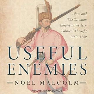 Useful Enemies Audiobook By Noel Malcolm cover art