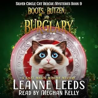 Boots, Blitzen, and Burglary Audiolibro Por Leanne Leeds arte de portada