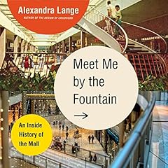 Meet Me by the Fountain cover art