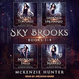 Sky Brooks: Books 1-4 Box Set Audiobook By McKenzie Hunter cover art