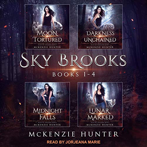 Sky Brooks: Books 1-4 Box Set Audiobook By McKenzie Hunter cover art