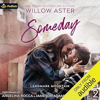 Someday Audiobook By Willow Aster cover art