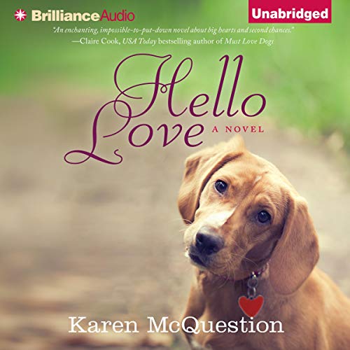 Hello Love Audiobook By Karen McQuestion cover art