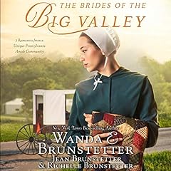 The Brides of the Big Valley cover art