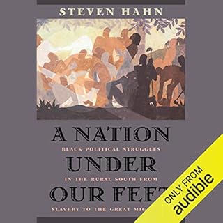 A Nation Under Our Feet Audiobook By Steven Hahn cover art