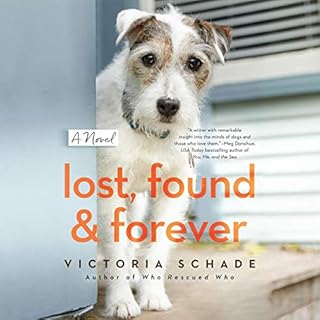 Lost, Found, and Forever Audiolibro Por Victoria Schade arte de portada