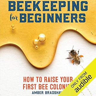 Beekeeping for Beginners Audiobook By Amber Bradshaw cover art