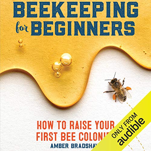 Beekeeping for Beginners Audiobook By Amber Bradshaw cover art