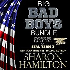 Big Bad Boys Bundle cover art