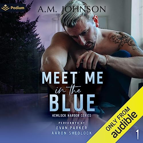 Meet Me in the Blue Audiobook By A.M. Johnson cover art