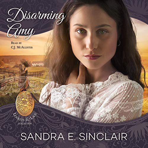 Disarming Amy Audiobook By Sandra E. Sinclair cover art