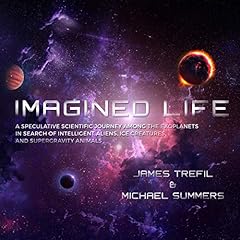 Imagined Life cover art