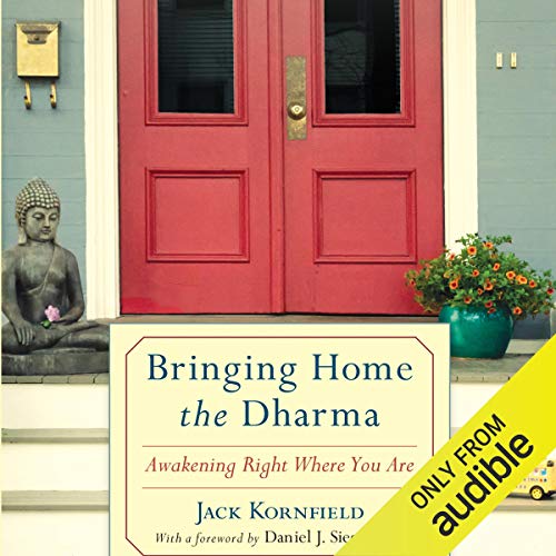 Couverture de Bringing Home the Dharma