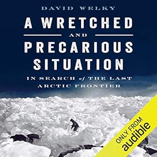 A Wretched and Precarious Situation Audiobook By David Welky cover art