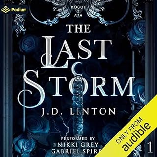 The Last Storm Audiolibro Por JD Linton arte de portada